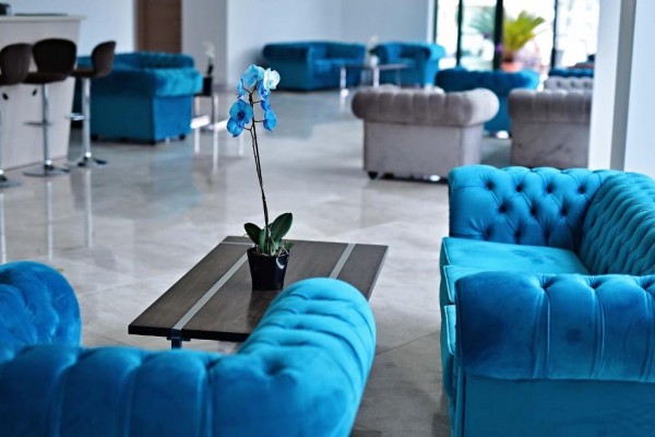 Hotel Alcor Mamaia