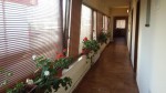Hotel Nova Mamaia Nord