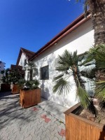 Vila Miluna Mamaia